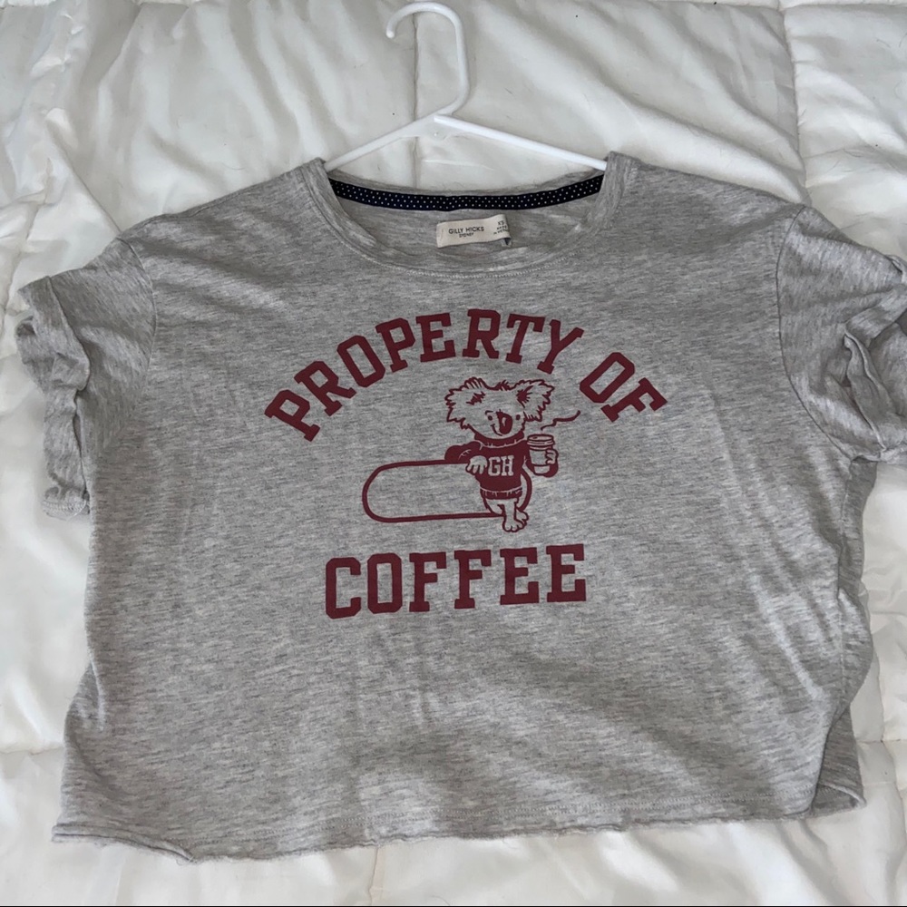 Gilly Hicks crop top